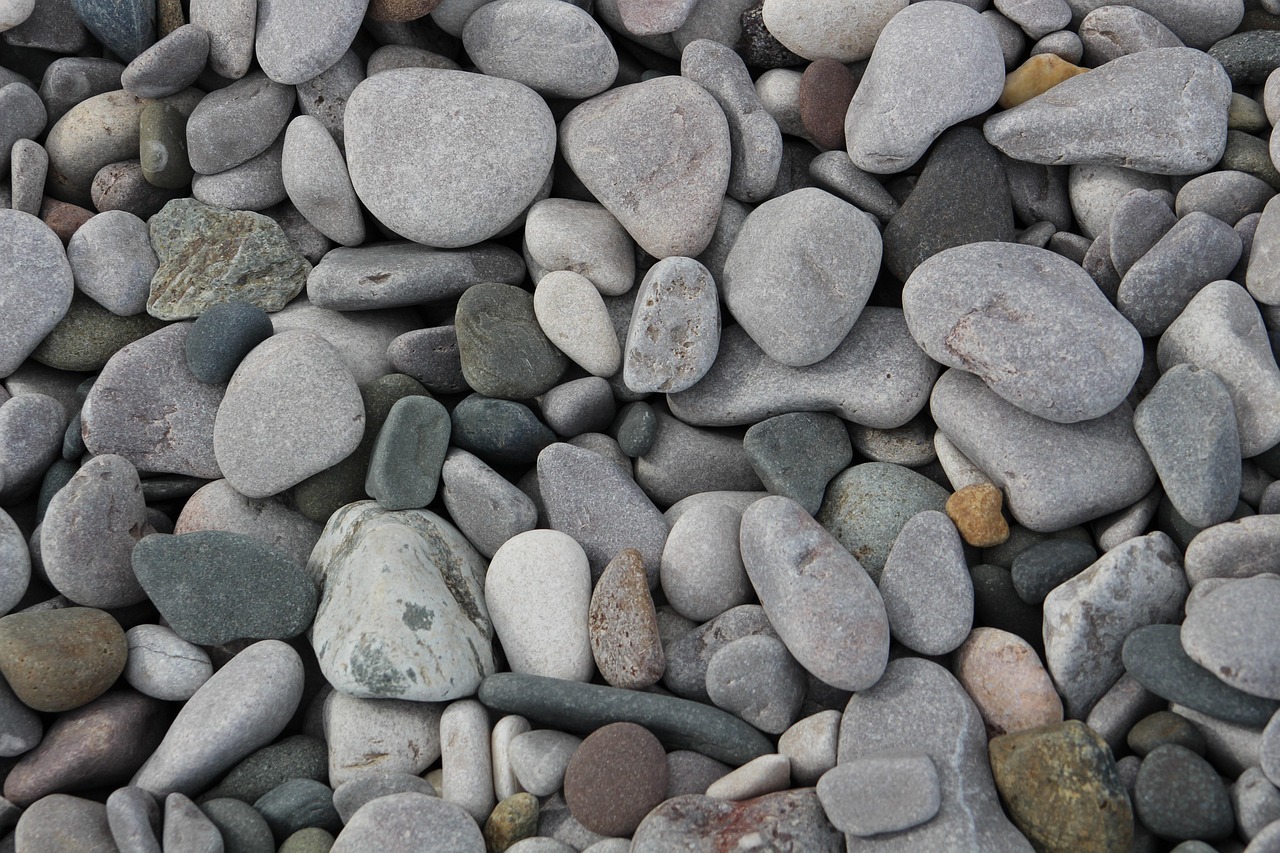 Cedar Shake vs. Composite Shingle: Choosing Siding That Survives the Salt Air