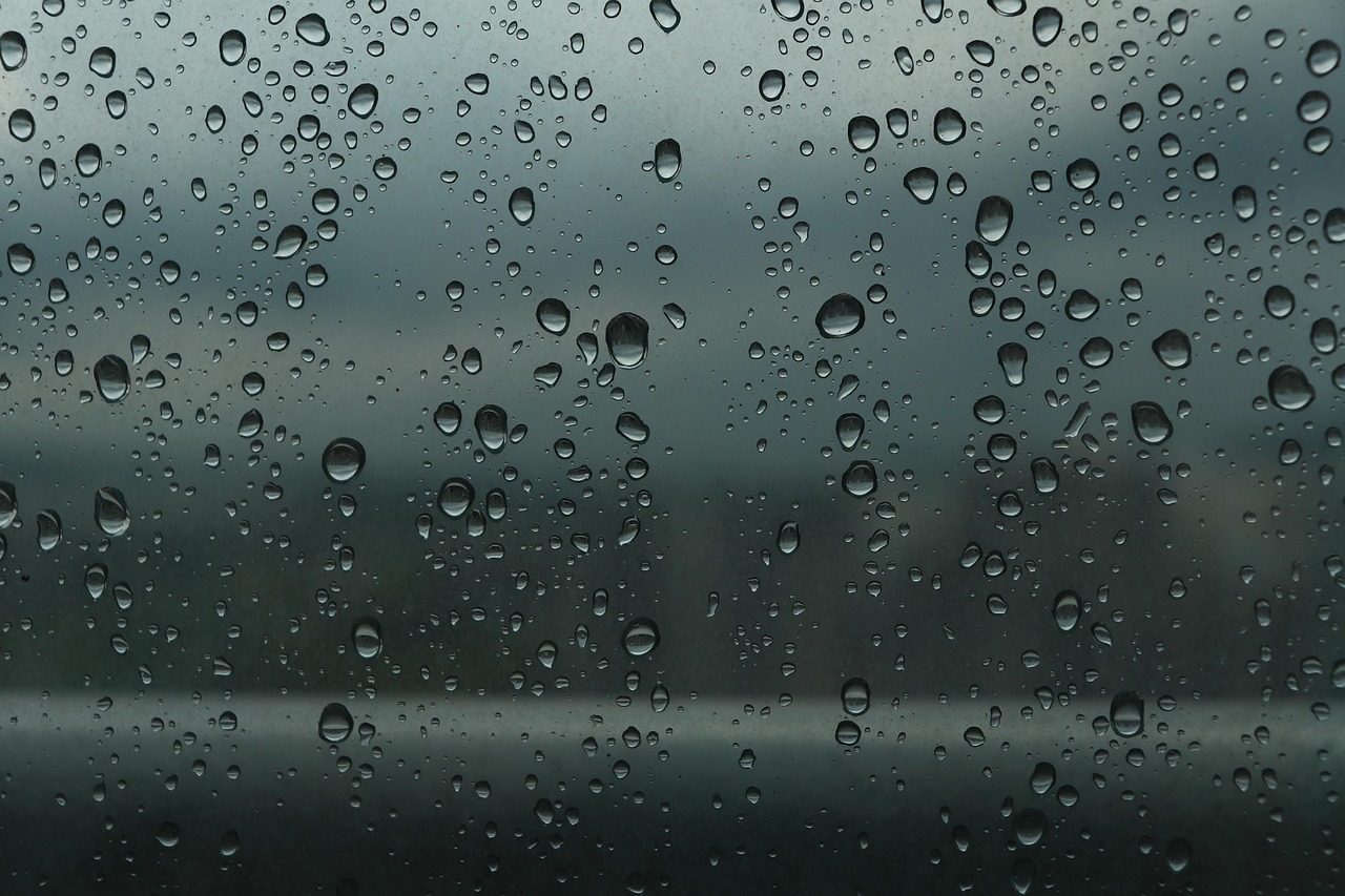 How to Weatherproof Windows and Doors Against Coastal Storms