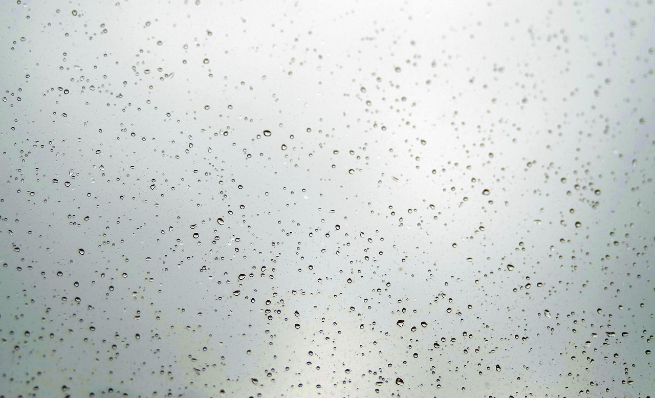 Wind-Driven Rain: How to Keep Water Out of Your Coastal Home's Walls
